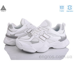 Кроссовки STILLI Group